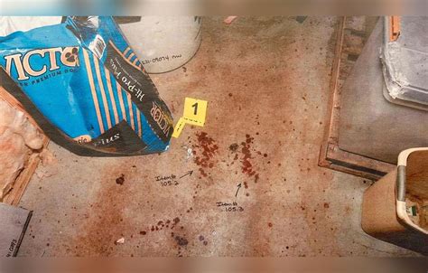 maggie murdaugh photos autopsy|The crime scene evidence that convicted Alex。